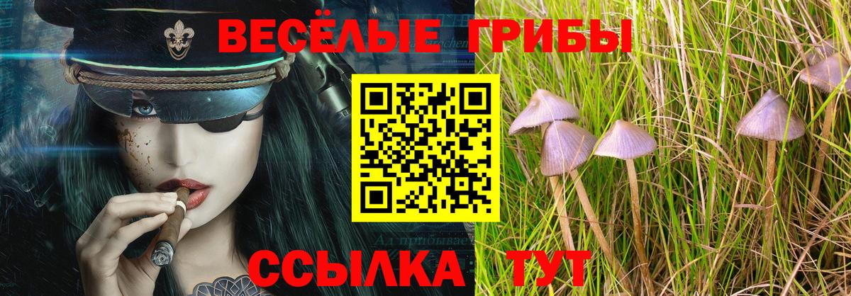 Псилоцибиновые грибы GOLDEN TEACHER Протвино