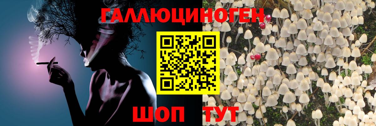 Псилоцибиновые грибы Magic Shrooms  Вход с VPN  Протвино 